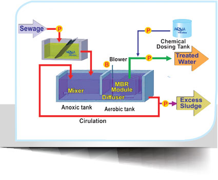 Sewage Water Treatment2